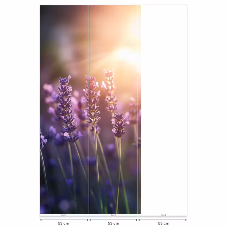 Behang - Lavendelbloemen - Paars - Zonlicht — 6