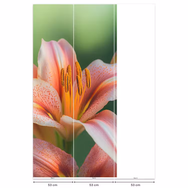 Behang - Lelie - Close up - Lichtroze — 6
