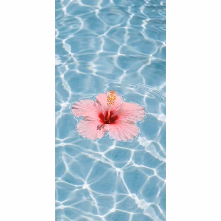 Behang - Hibiscus - Water - Roze — 2