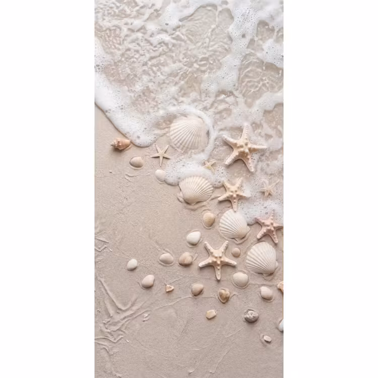 Behang - Schelpen - Zeesterren - Strand — 2