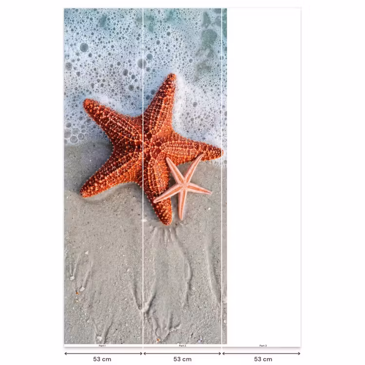 Behang - Zeester - Strand - Zee — 6