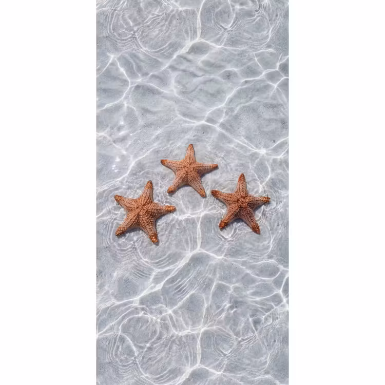Behang - Zeesterren - Water - Helder — 2
