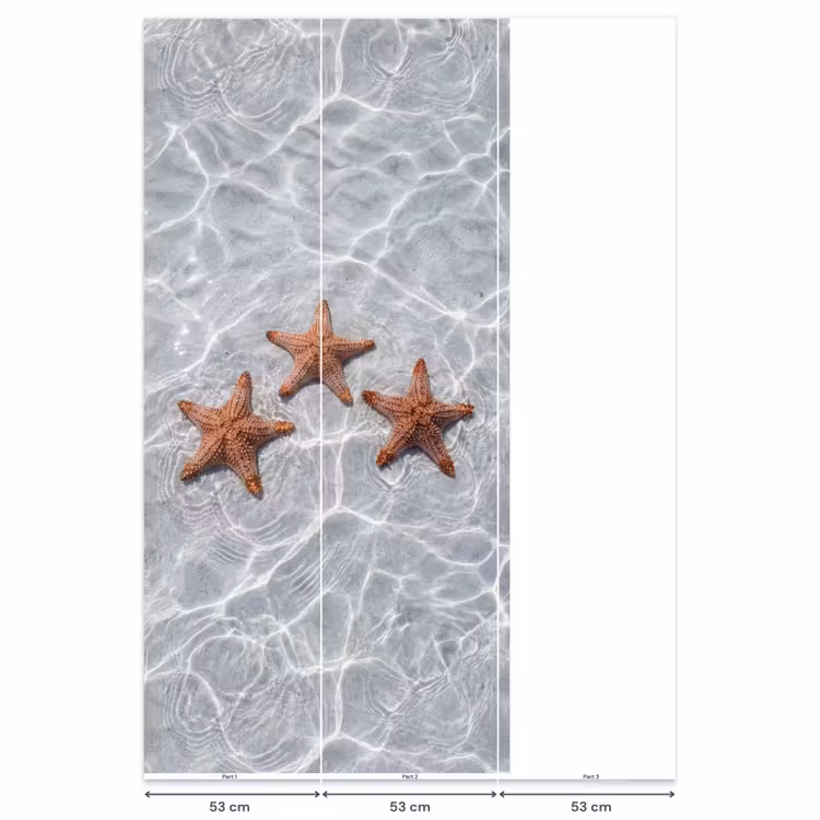 Behang - Zeesterren - Water - Helder — 6