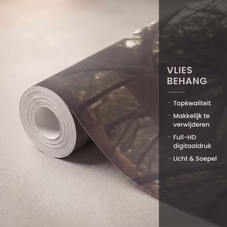 Behang - Bos - Mist - Zonlicht — 3