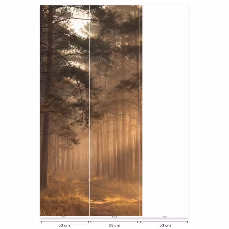 Behang - Bos - Mist - Zonlicht — 6