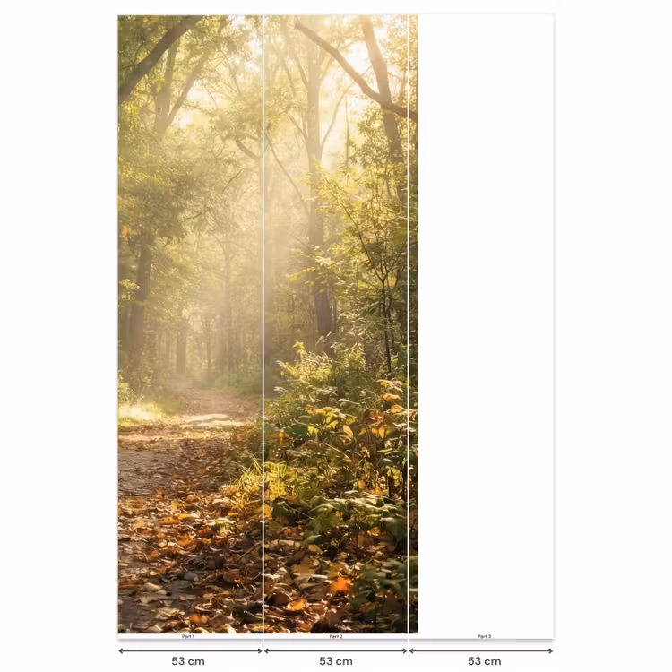 Behang - Zonlicht - Bospad - Bomen — 6