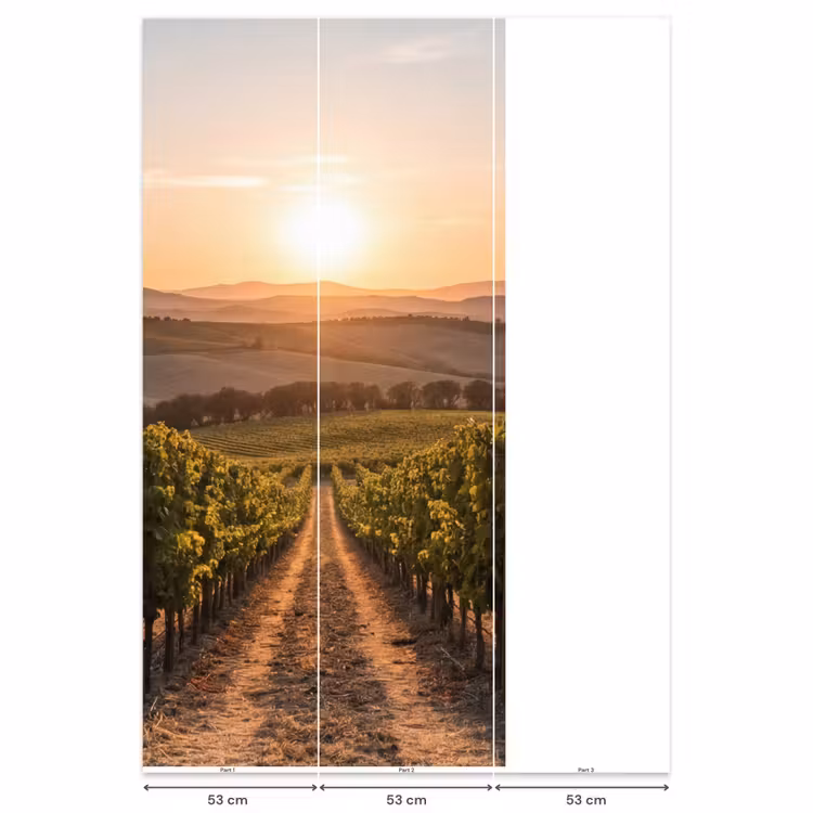Behang - Wijngaard - Zonsondergang - Landschap — 6