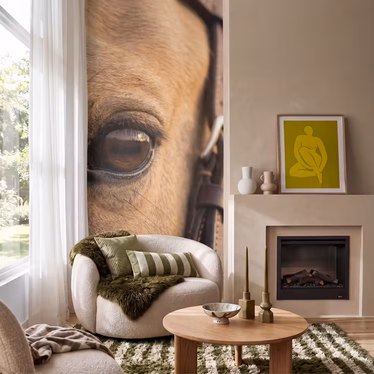 Behang - Paard - Oog - Bruin — 1
