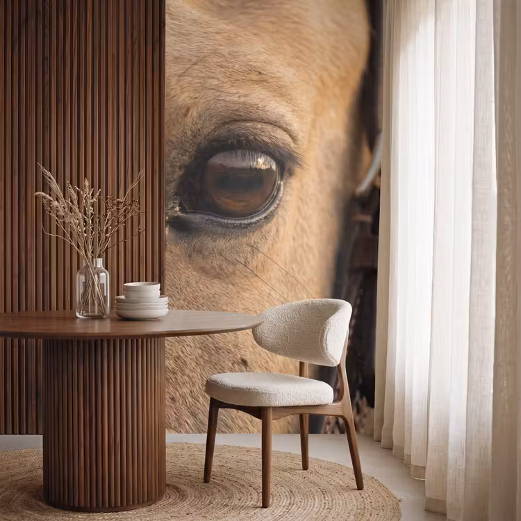 Behang - Paard - Oog - Bruin — 4