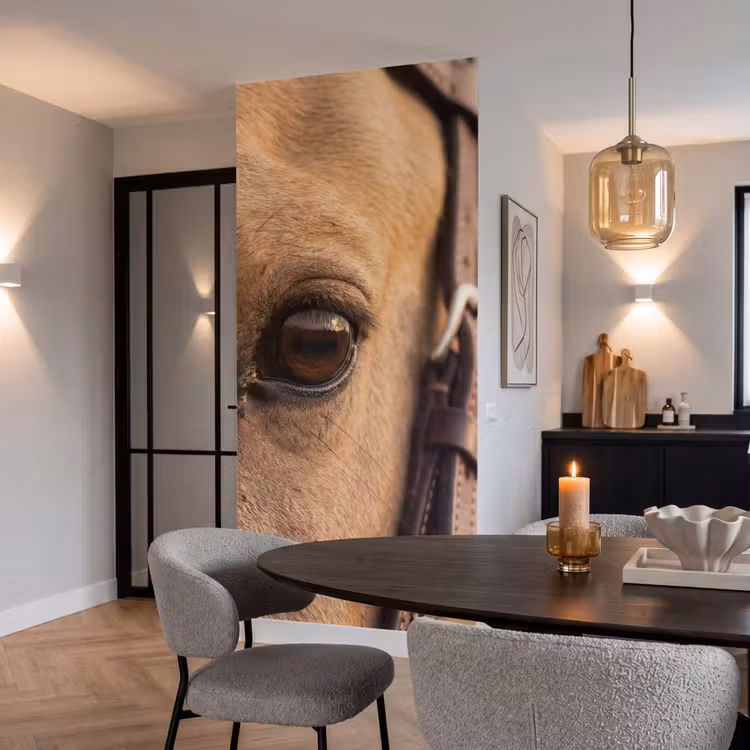 Behang - Paard - Oog - Bruin — 5