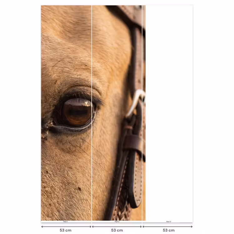 Behang - Paard - Oog - Bruin — 6