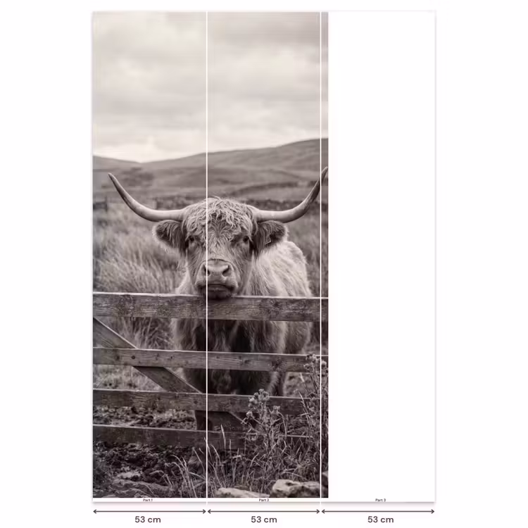 Behang - Schotse hooglander - Zwart - Wit - Hout — 6