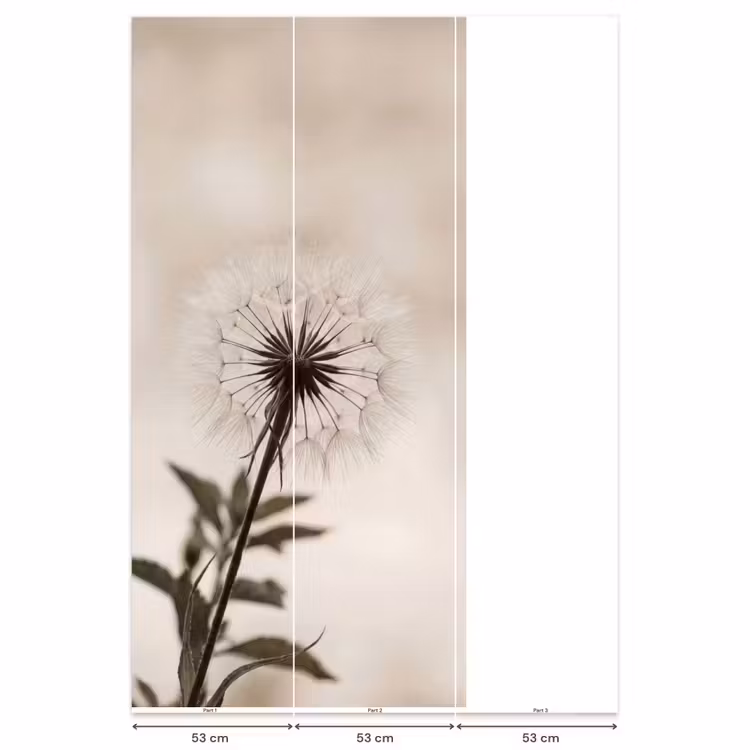 Behang - Paardenbloem - Minimalistisch - Wit — 6