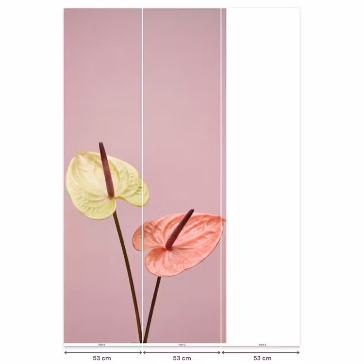 Behang - Bloemen - Anthuriums - Geel - Roze — 6
