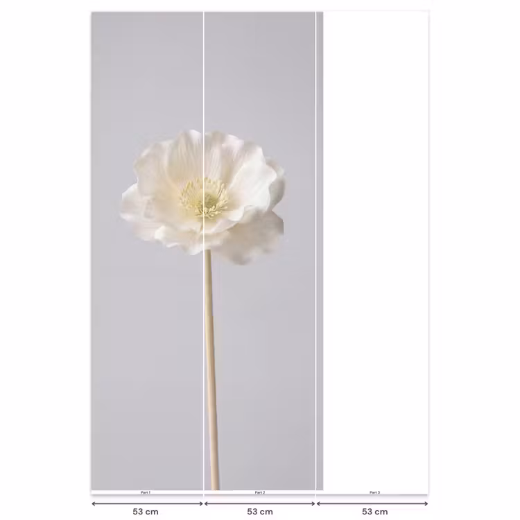 Behang - Bloem - Minimalistisch -Wit — 6