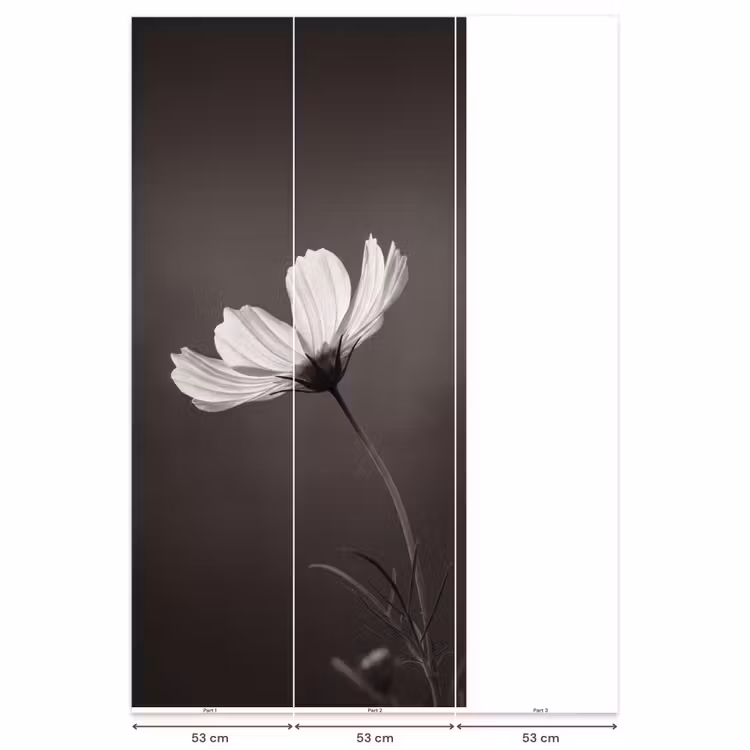 Behang - Bloem - Minimalistisch - Zwart - Wit — 6