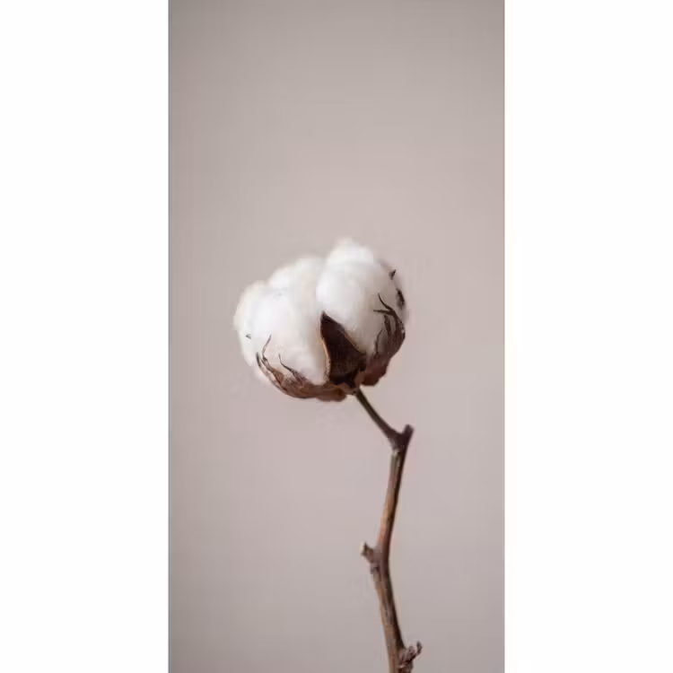 Behang - Katoenbol - Minimalistisch - Wit — 2