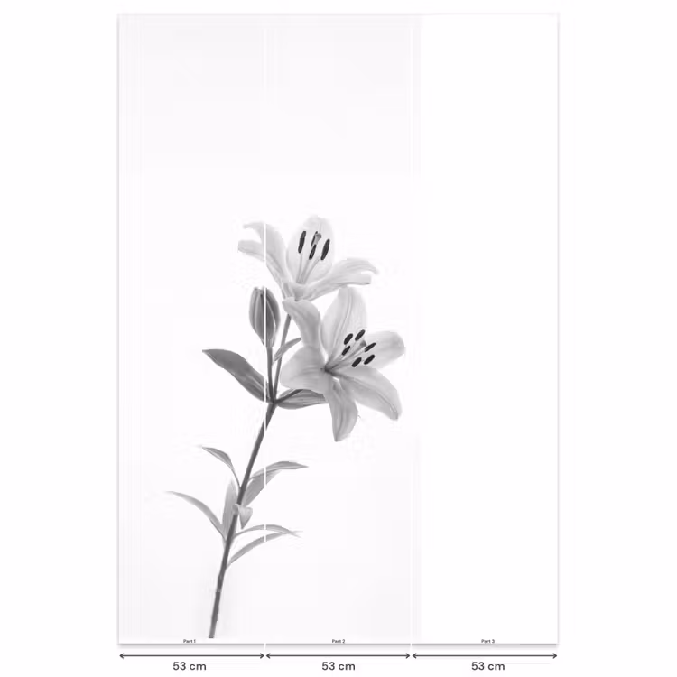 Behang - Lelies - Elegant - Zwart - Wit — 6