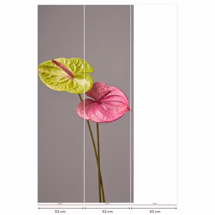 Behang - Planten - Anthurium - Groen - Roze — 6
