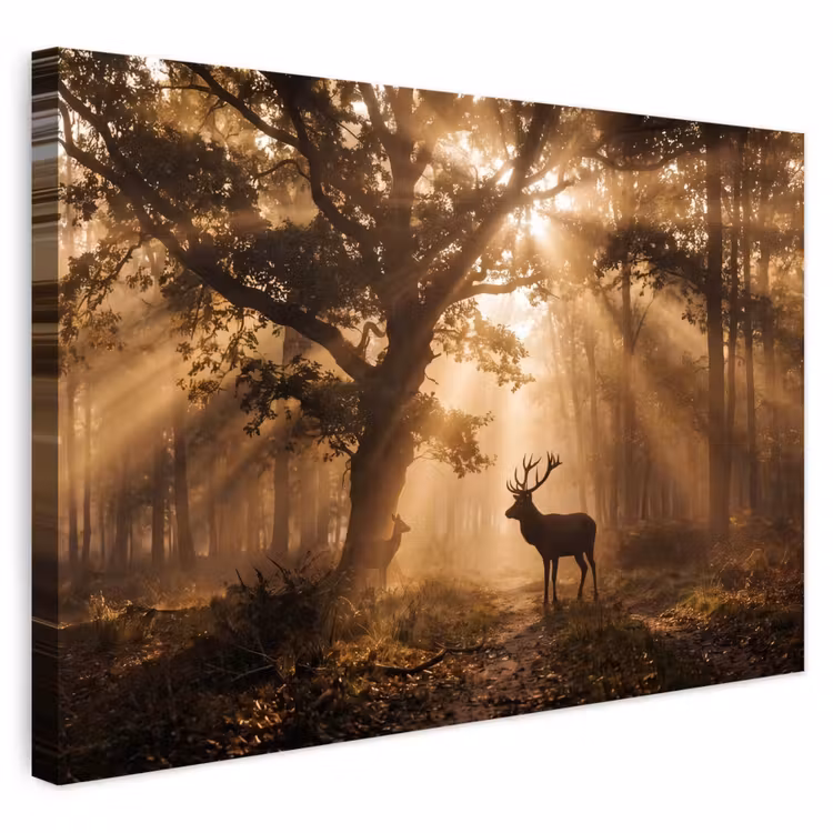 Buiten canvas - Hert - Bos - Mistig - Natuur - Goud
