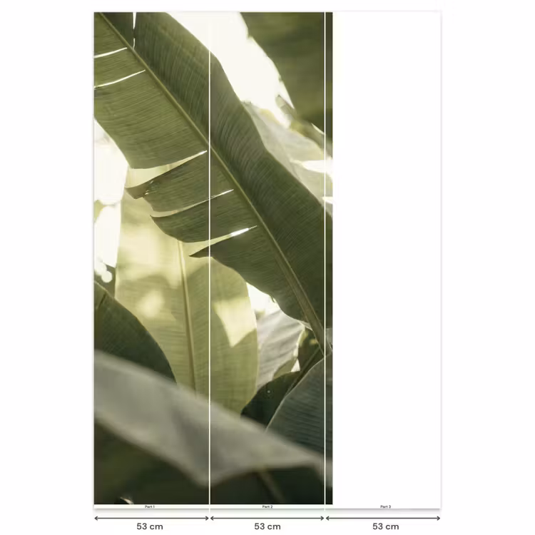 Behang - Natuur - Bladeren - Groen - Tropisch - Detail — 6