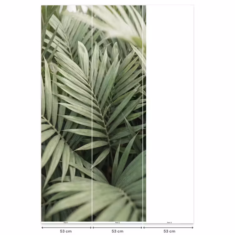 Behang - Plant - Palmbladeren - Natuur - Groen — 6