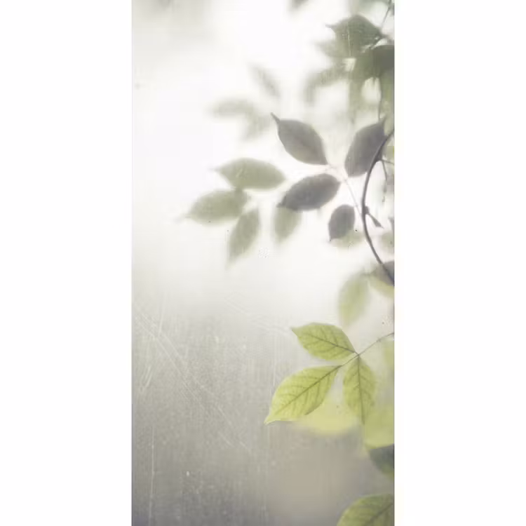 Behang - Blad - Schaduw - Natuur - Abstract - Groen — 2