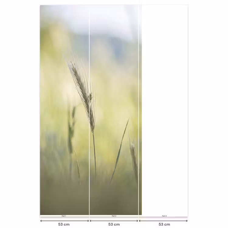 Behang - Graan - Aar - Natuur - Groen - Detail — 6