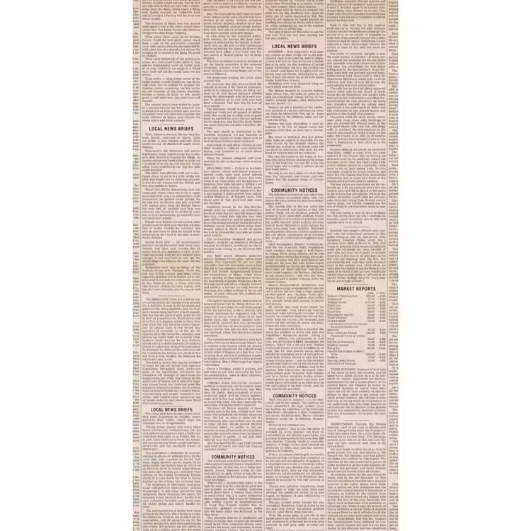 Behang - Krant - Nieuws - Historisch - Vintage - Beige — 2