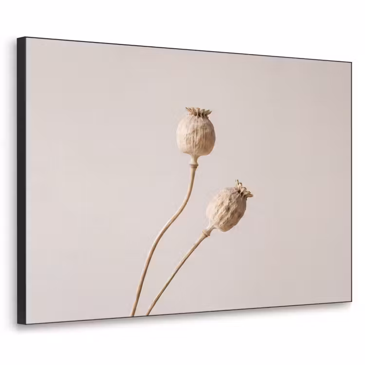 Art Frame - Papaverbollen - Droogbloemen - Minimalistisch - Beige - Rustig