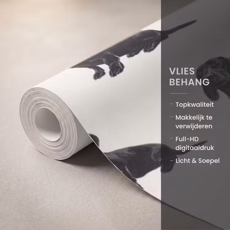 Behang - Hond - Patroon - Zwart — 3