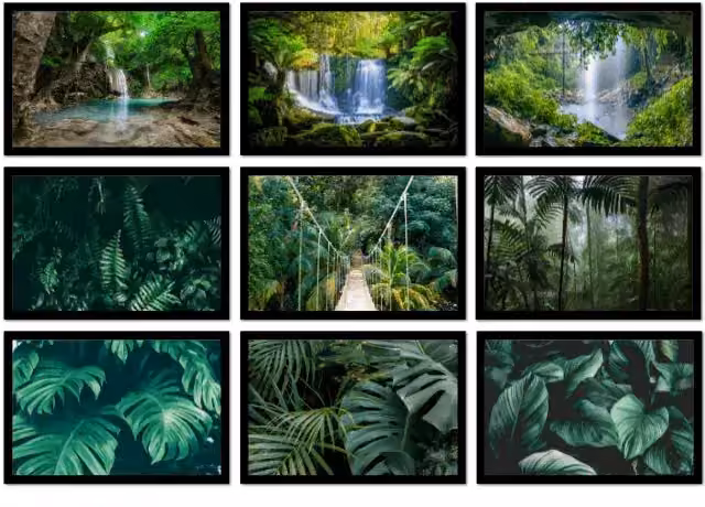 JUNGLE