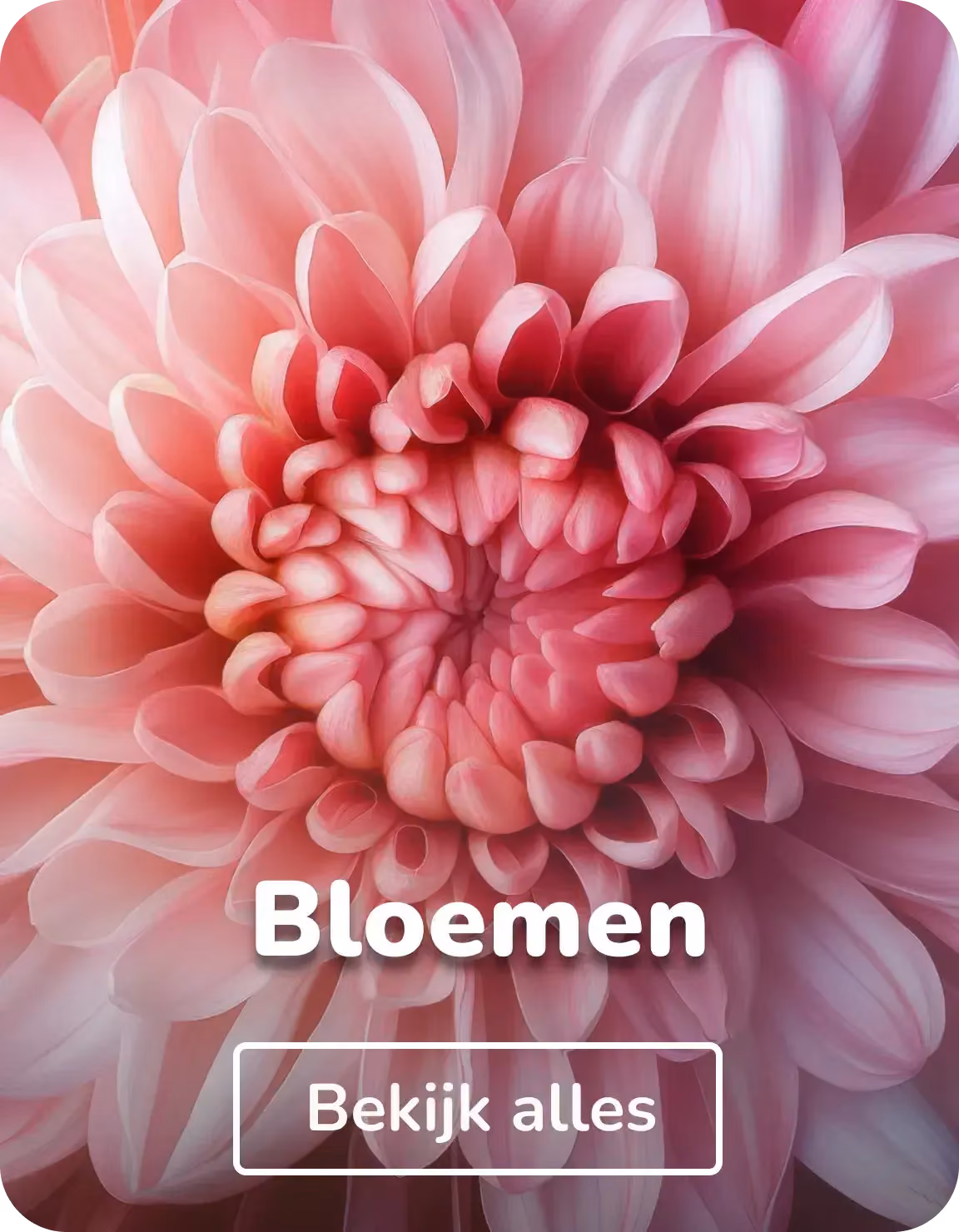 Muurcirkels bloemen
