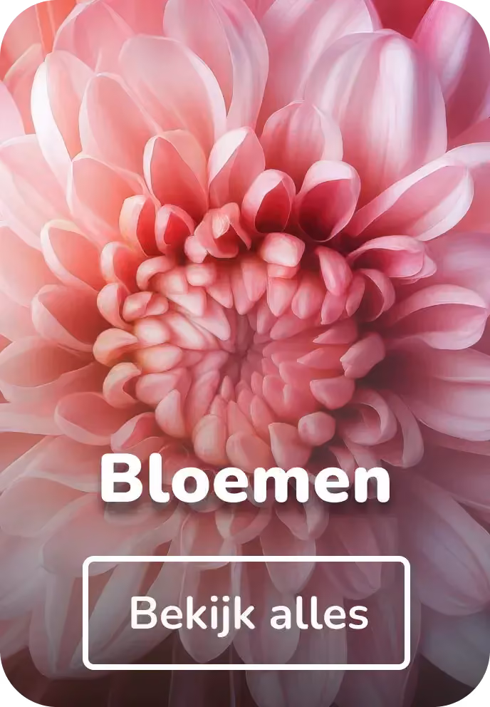 Muurcirkels bloemen