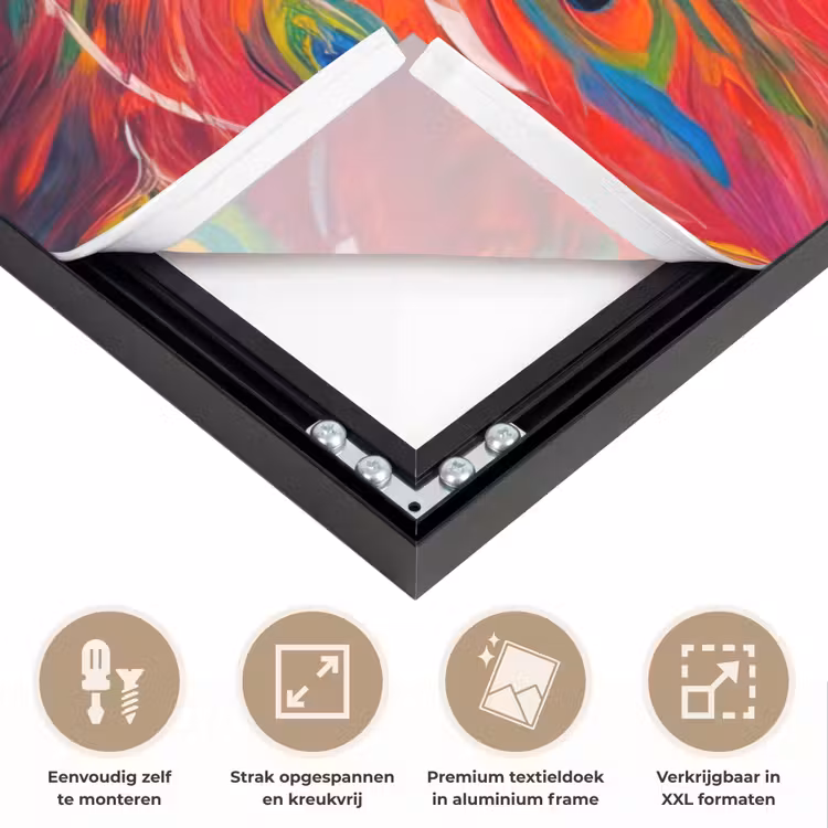 Art Frame - Pauw - Kunst - Schilderij - Pauwenveren — 8