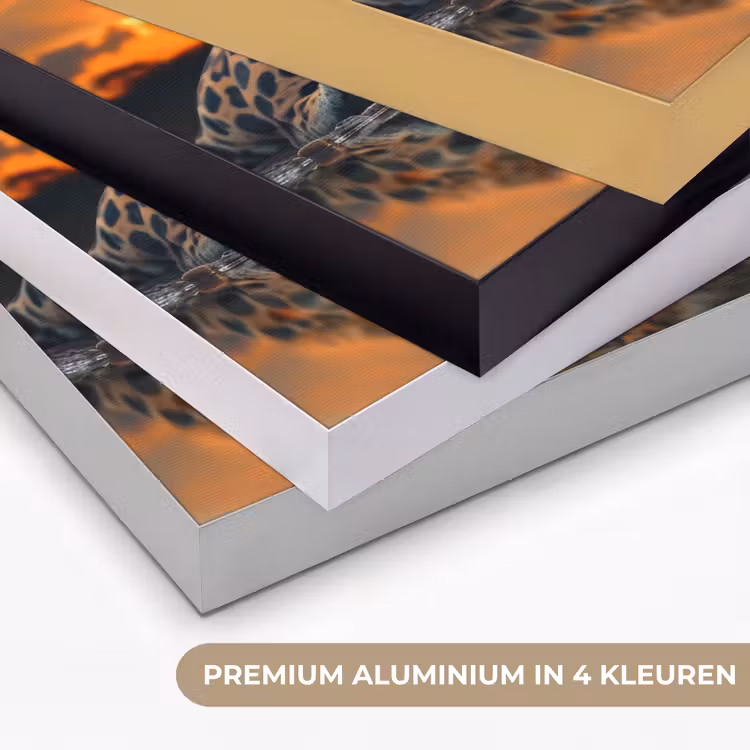 Art Frame - Natuur - Luipaard - Dier - Zonsondergang - Modern — 2