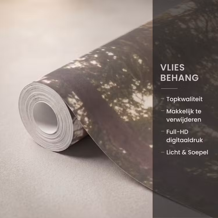 Behang - Bos - Gras - Zonlicht — 3