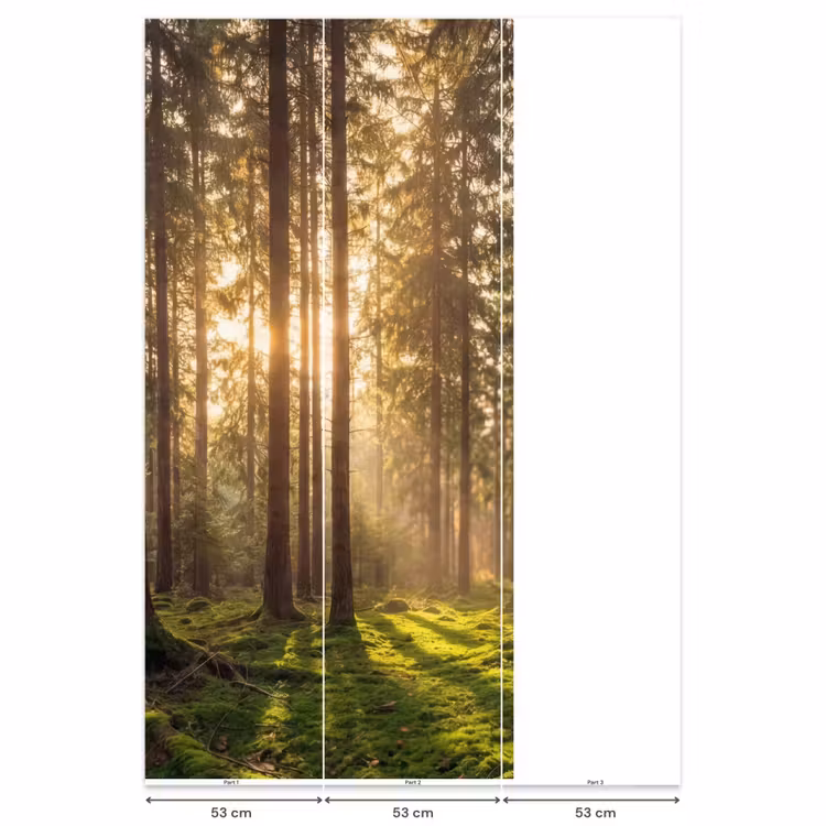 Behang - Bos - Gras - Zonlicht — 6