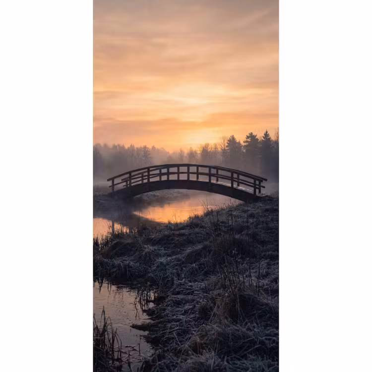 Behang - Brug - Mist - Bomen - Water — 2
