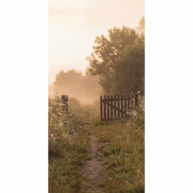 Behang - Hek - Natuur - Mist - Veld — 2