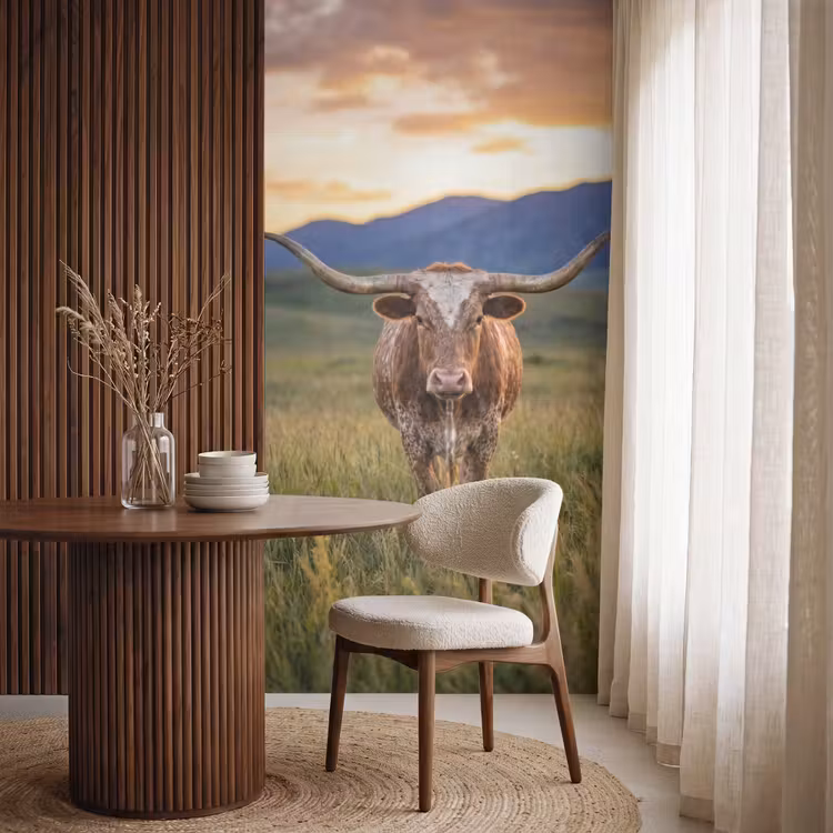 Behang - Longhorn - Landschap - Zonsondergang — 4