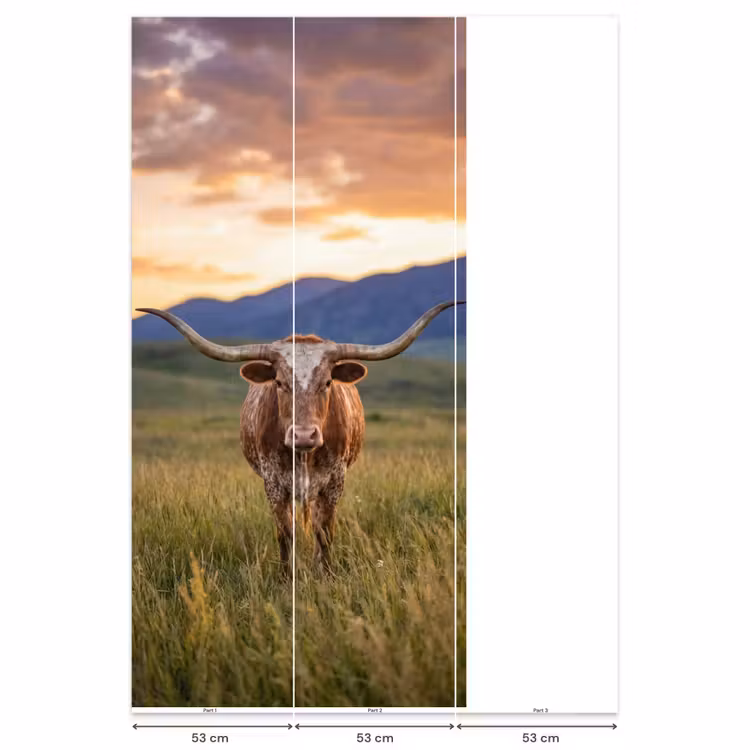 Behang - Longhorn - Landschap - Zonsondergang — 6