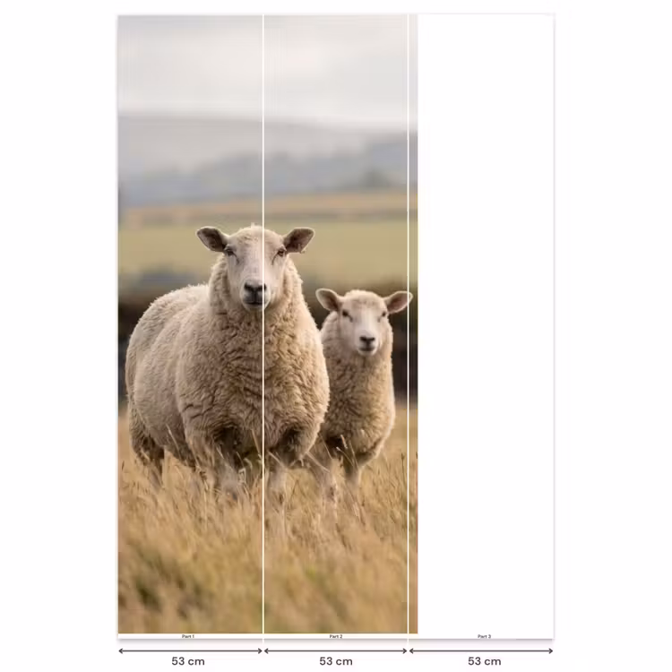 Behang - Schapen - Weidenlandschap - Heuvels — 6