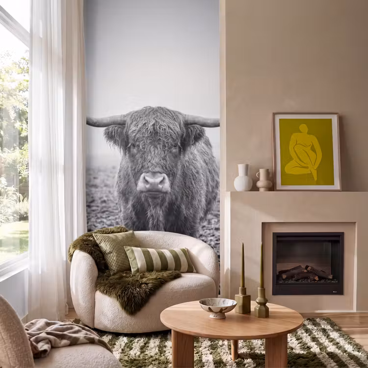 Behang - Schotse hooglander - Zwart - Wit - Gras — 1