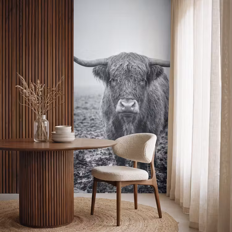 Behang - Schotse hooglander - Zwart - Wit - Gras — 4