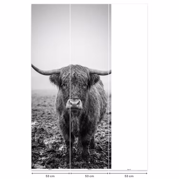 Behang - Schotse hooglander - Zwart - Wit - Gras — 6