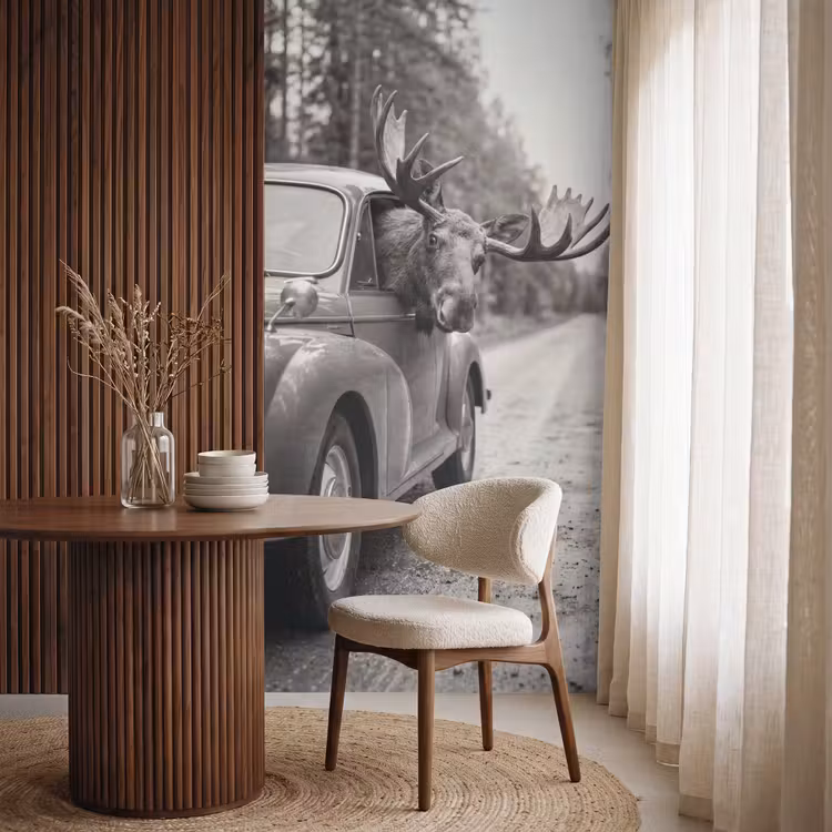 Behang - Eland - Auto - Gewei - Zwart - Wit — 4