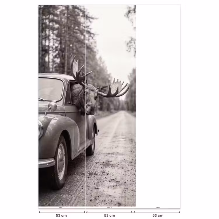 Behang - Eland - Auto - Gewei - Zwart - Wit — 6