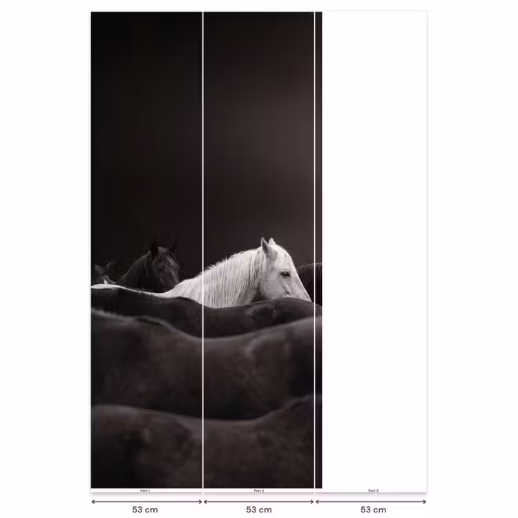 Behang - Paarden - Zwart - Wit - Kudde — 6