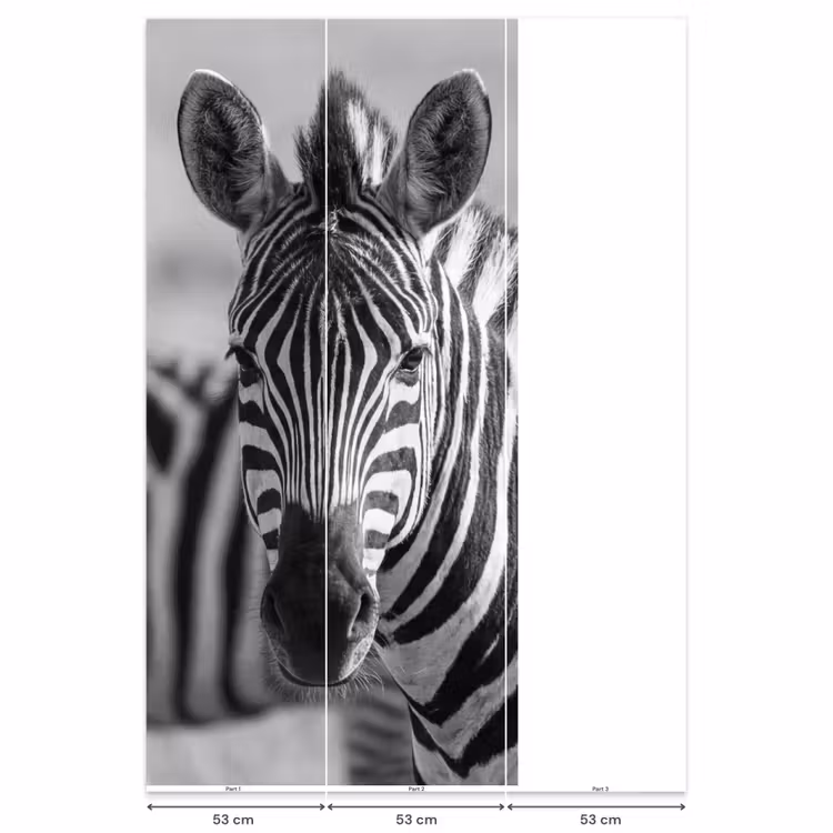Behang - Zebra's - Zwart - Wit — 6